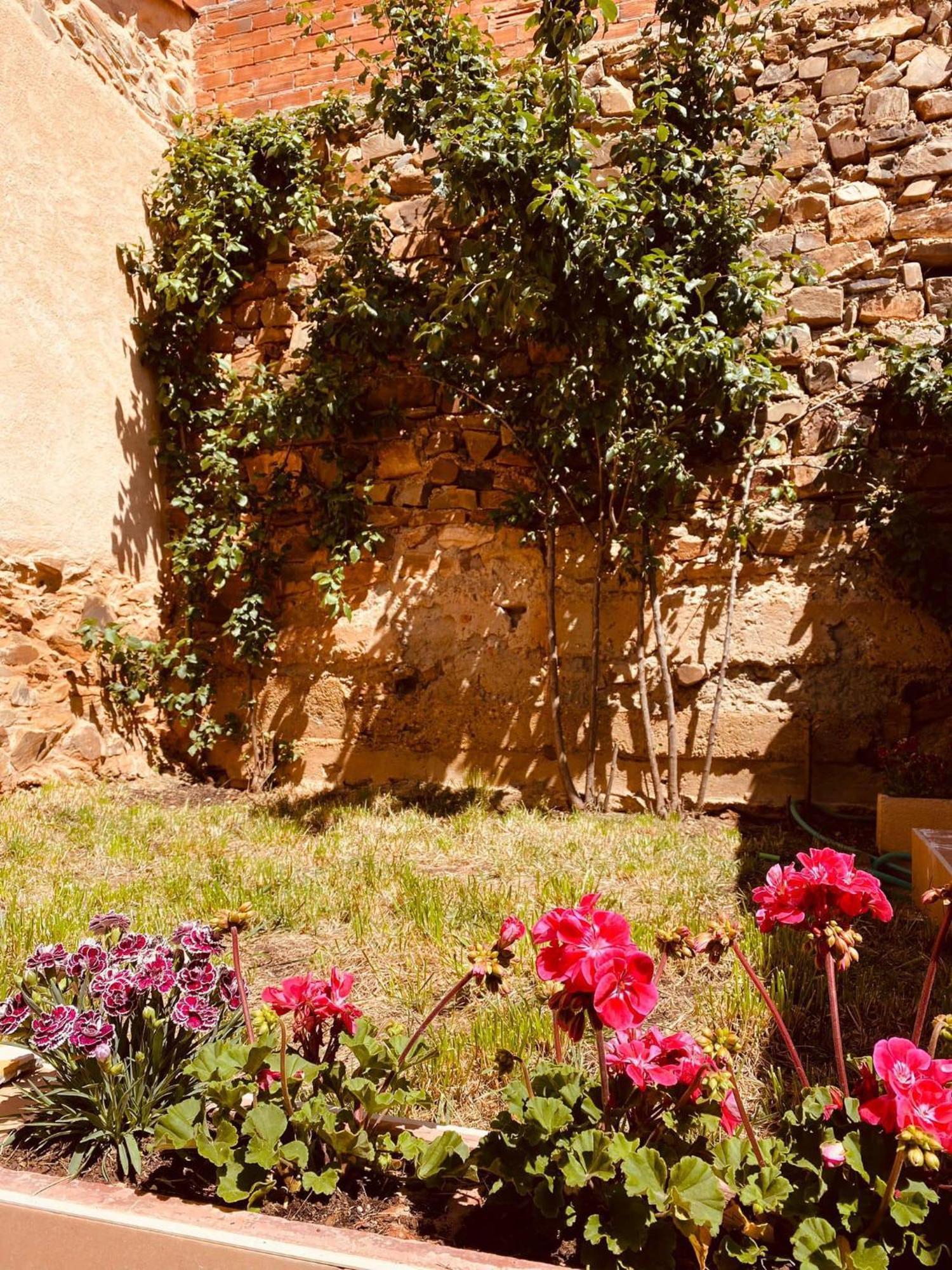 La Bodega De La Valduerna 2 Destriana